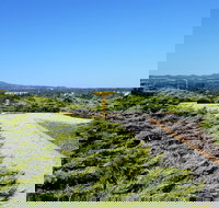 Mt Lindsay Rotary Park - Travel Agents