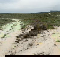 Ngarkat Conservation Park - Travel Agents
