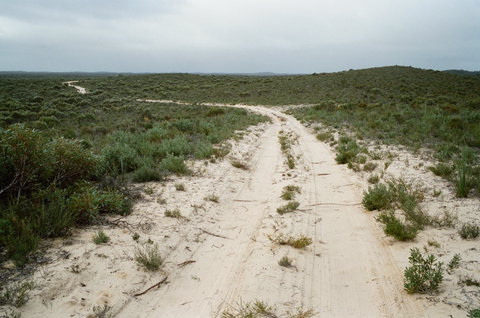 Ngarkat Conservation Park - Tourism Guide 0