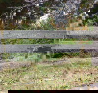 Nimmitabel Heritage Walk - Travel Agents