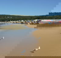 Ocean Beach Umina - Cruises Travel
