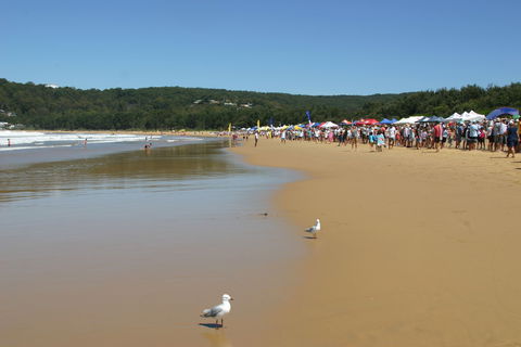 Ocean Beach Umina - Tourism Guide 0