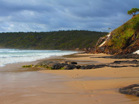 One Man Bluff - Tourism Guide 1