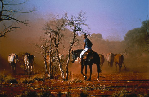 Outback Heritage And Coal Adventure - Travel Agents 0
