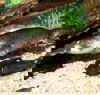 Platypus House - Tourism Guide