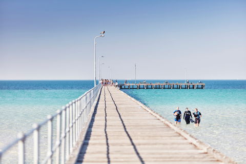 Rye Bay Trial - Tourism Guide 1