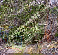 Sawpit Walking Track - Travel Agents