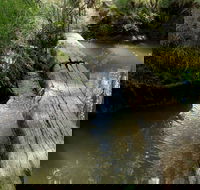 Second Ponds Creek Walk - Tourism Guide