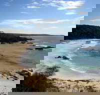 Snorkelling Mystery Bay - Tourism Guide