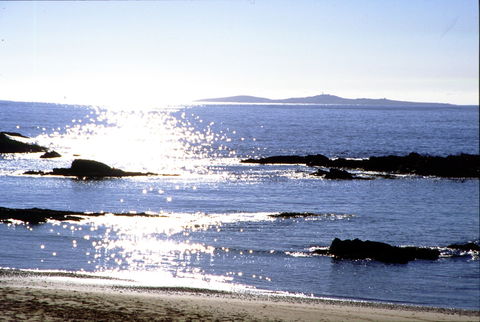 Snorkelling Mystery Bay - Tourism Guide 2