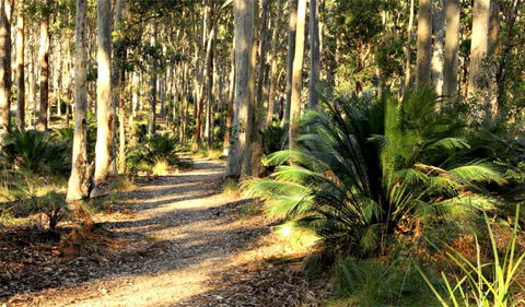 Square Head Track 2 - Tourism Guide 0