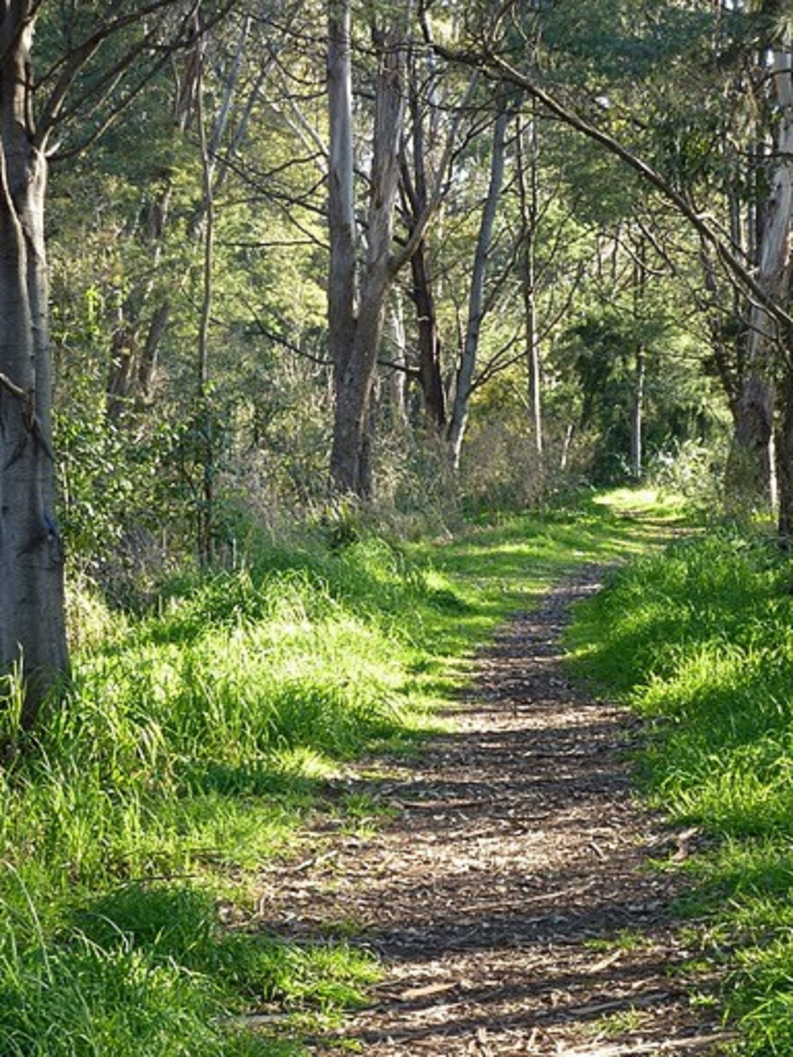 Stoodley TAS Tourism Guide