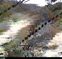 The Falls Water Falls - Travel Agents