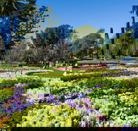 Toowoomba - Cruises Travel