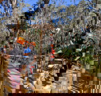 Trees Adventure - Yanchep Park - Tourism Guide