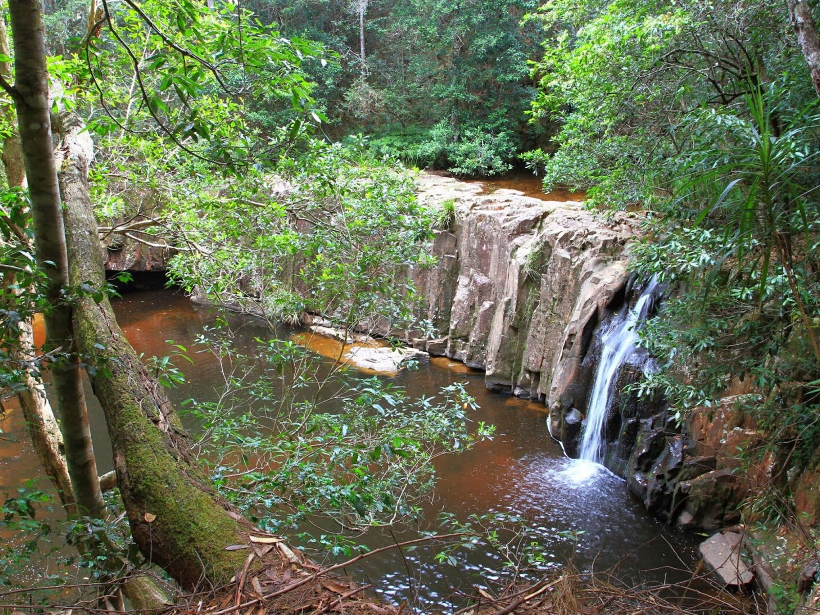 Waitui NSW Tourism Guide