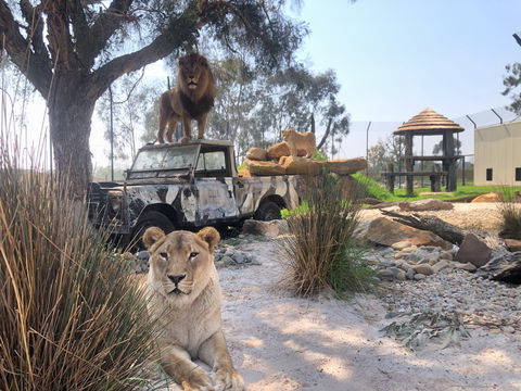 Zambi Wildlife Retreat - Tourism Guide 0