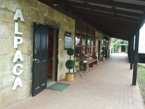 Australian Alpaca Barn - Pokolbin - Tourism Guide 0