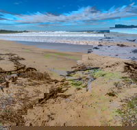 Avenue Beach - Tourism Guide