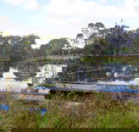Baldwin Swamp Environmental Park - Tourism Guide