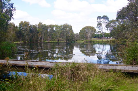 Baldwin Swamp Environmental Park - Tourism Guide 0