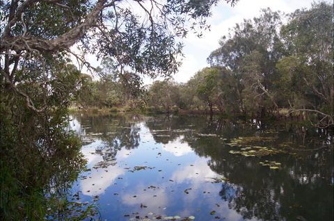 Baldwin Swamp Environmental Park - Tourism Guide 2