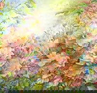 Barossa Chateau Artist in Residence - Travel Agents