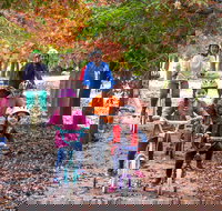 Beechworth to Everton Station 16km - Travel Agents