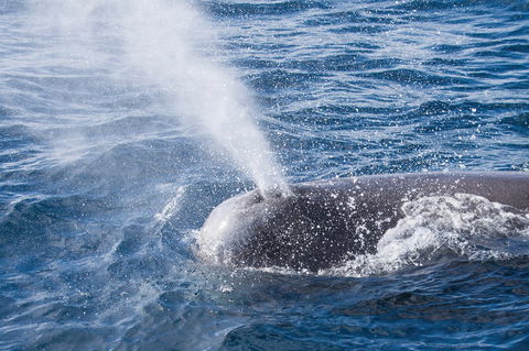 Bremer Bay - Travel Agents 1