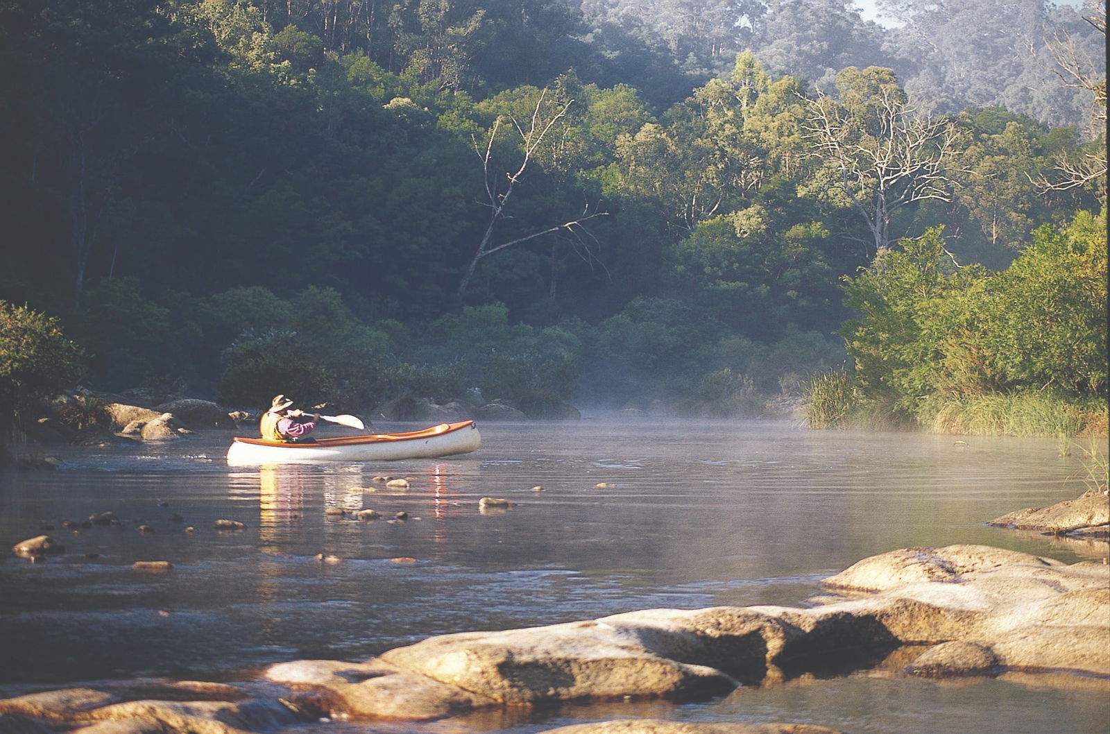 Stony Creek NSW Tourism Guide