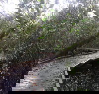 Carole Green Walkway - John Oxley Reserve - Travel Search