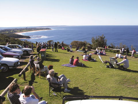 Crackneck Point Lookout - Tourism Guide 0