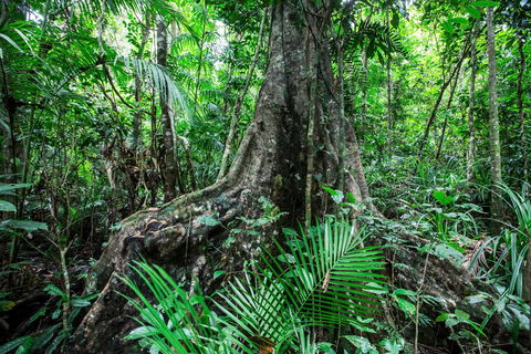 Djiru National Park - Cruises Travel 0