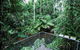 Djiru National Park - thumb 1
