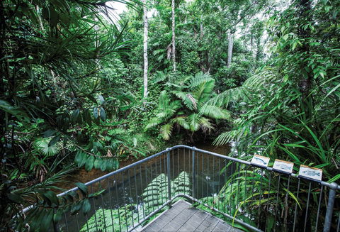 Djiru National Park - Cruises Travel 1