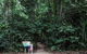 Djiru National Park - thumb 2