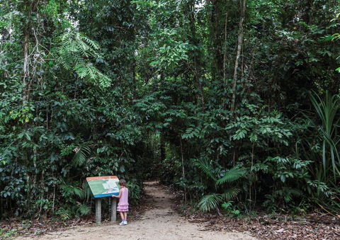Djiru National Park - Cruises Travel 2
