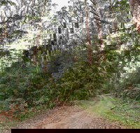 End Peak walking track - Travel Agents