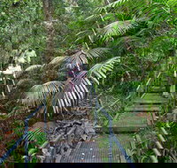 Falls walking track - Travel Agents