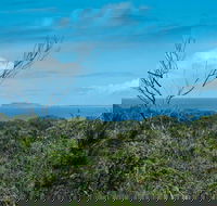Forest Walking Track Crowdy Bay National Park - Tourism Guide