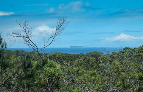 Forest Walking Track, Crowdy Bay National Park - Tourism Guide 0