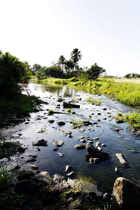 Gooseponds, North Mackay - Cruises Travel 2