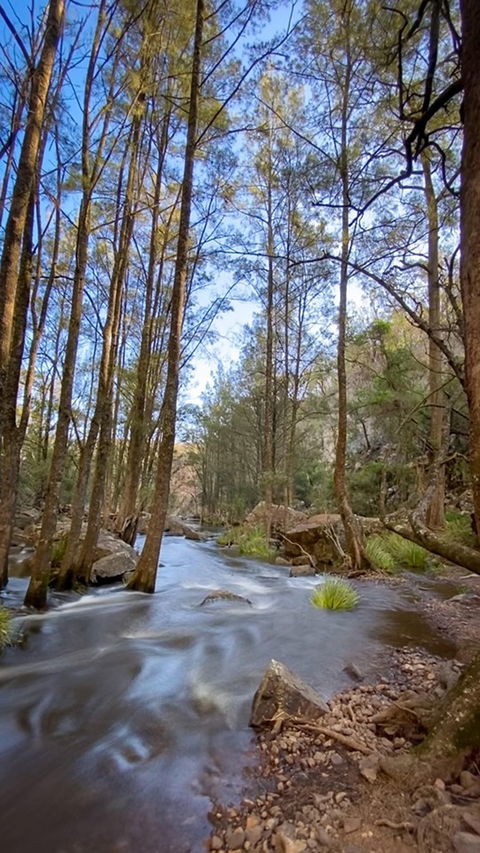 Horton Falls And Walks - Travel Agents 2