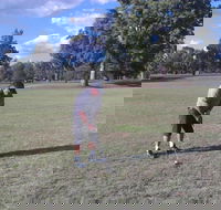 Inverell Golf Club - Tourism Guide