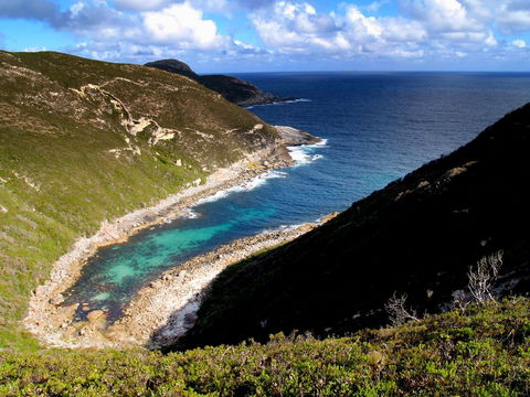 Jimmy Newells Harbour - Tourism Guide 0