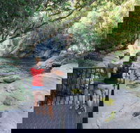 Josephine Falls walking track Wooroonooran National Park - Tourism Guide