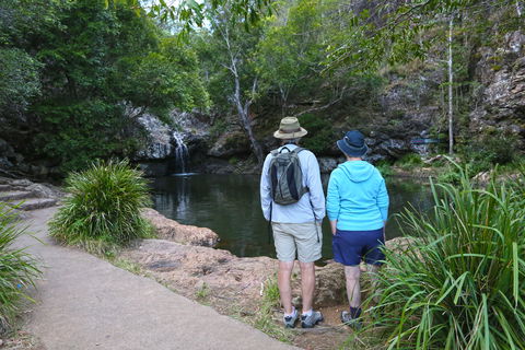 Kondalilla Falls Circuit, Kondalilla National Park - Cruises Travel 1