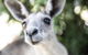 Lochern National Park - thumb 0
