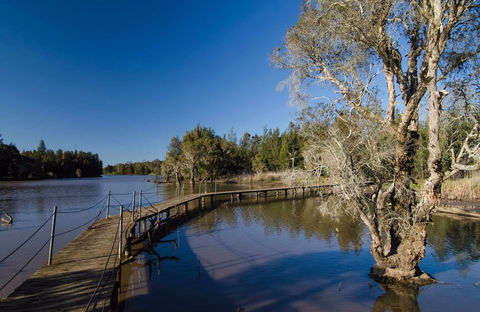 Longneck Lagoon Walking Track - Tourism Guide 0