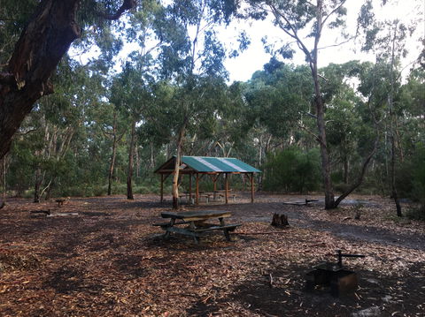 Long Lead Picnic Area And Campground - Tourism Guide 0